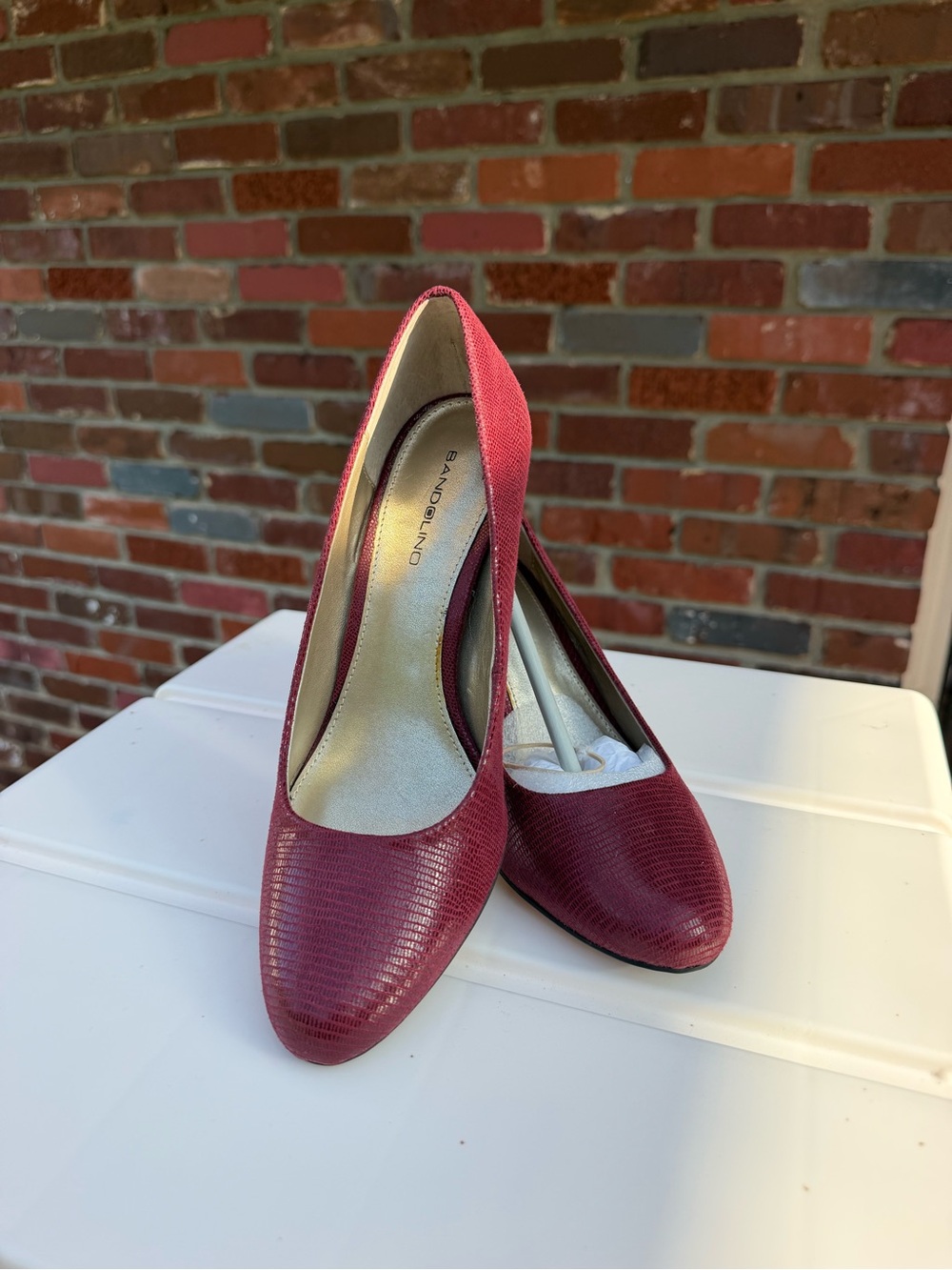 Brand New Bandolino Wine Textured Pointed-Toe Pumps
